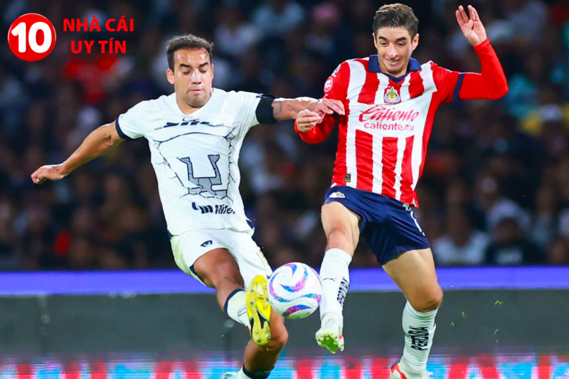 Pumas vs Chivas